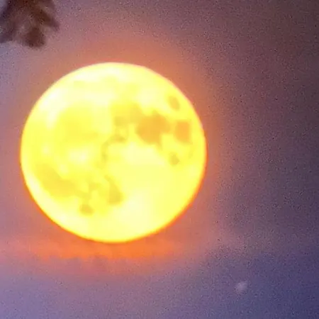 Appartement Maison La Tour *