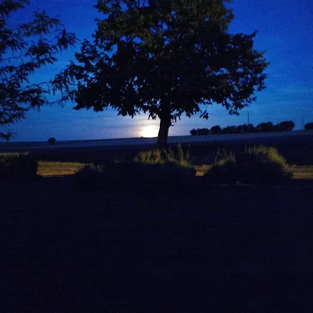 Appartement Maison La Tour Nere