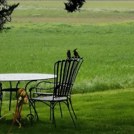 Appartement Maison La Tour Nere