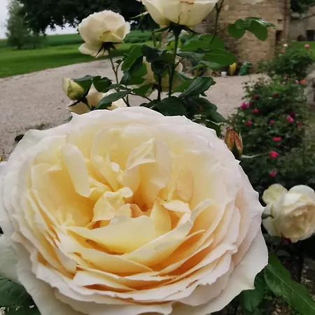 Maison La Tour Appartement *