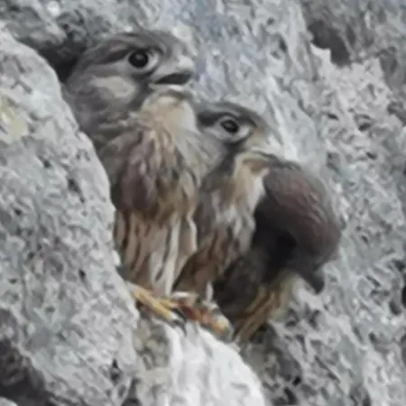 Maison La Tour Appartement *