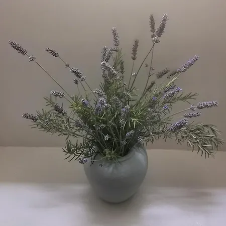 Appartement Maison La Tour Nere