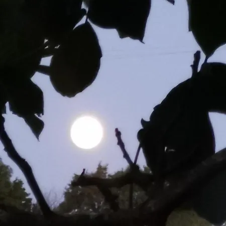 Maison La Tour * Nere