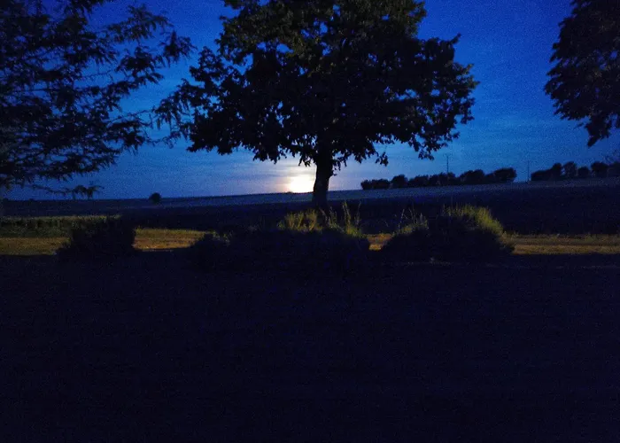 Apartamento Maison La Tour Nere