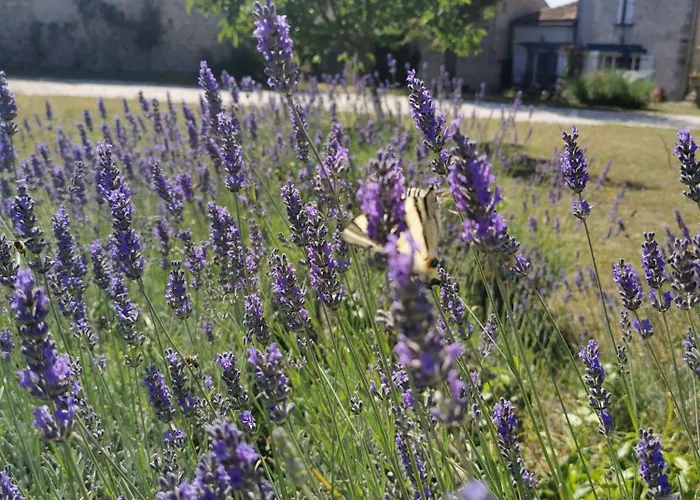 Maison La Tour Apartamento *