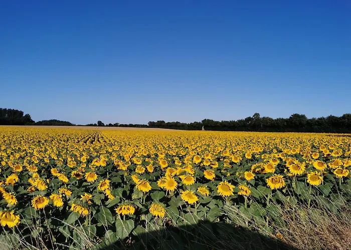 Apartamento Maison La Tour