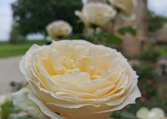 Maison La Tour Apartamento Nere