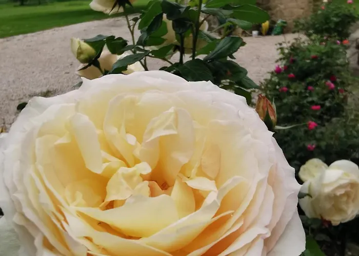 Maison La Tour Apartamento *