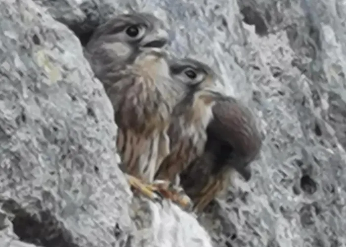 Maison La Tour Apartamento *