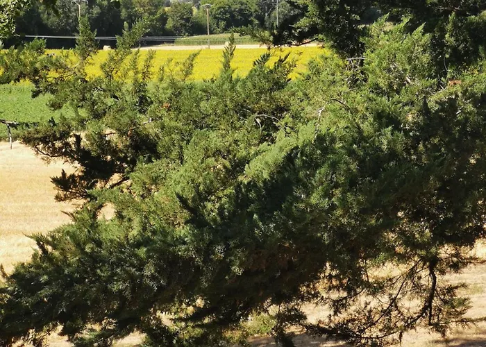 Apartamento Maison La Tour