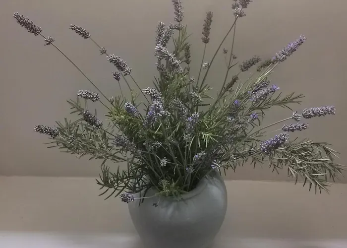 Apartamento Maison La Tour Nere