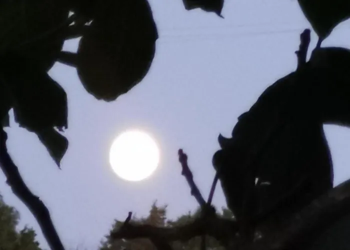 Maison La Tour * Nere